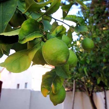 By The Sea Brna, Korcula - 5902 Smokvica (Korcula)