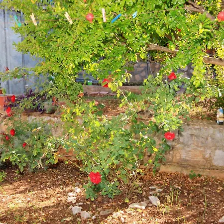 By The Sea Brna, Korcula - 5902 Apartman