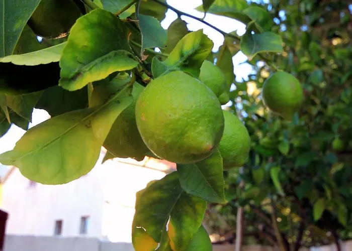 By The Sea Brna, Korcula - 5902 Smokvica (Korcula)